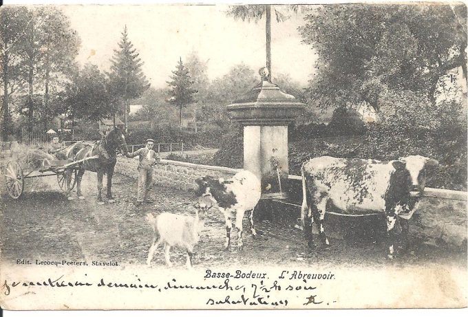 Les abreuvoirs de Bodeux