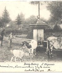 Les abreuvoirs de Bodeux